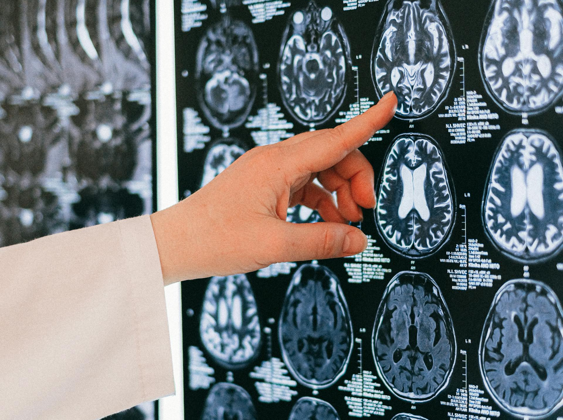 MedLabel AI Data Ecosystem Overview